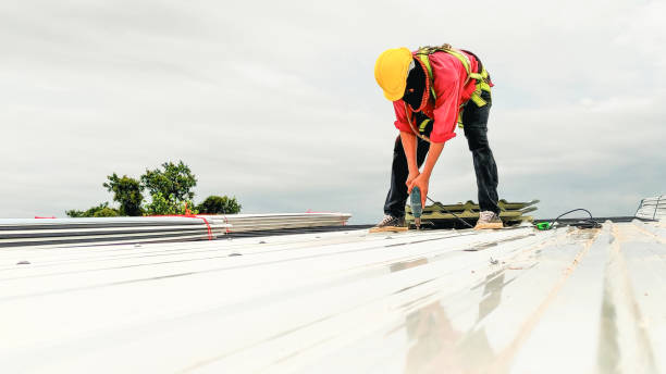 Best Cold Roofs  in Walkerton, IN